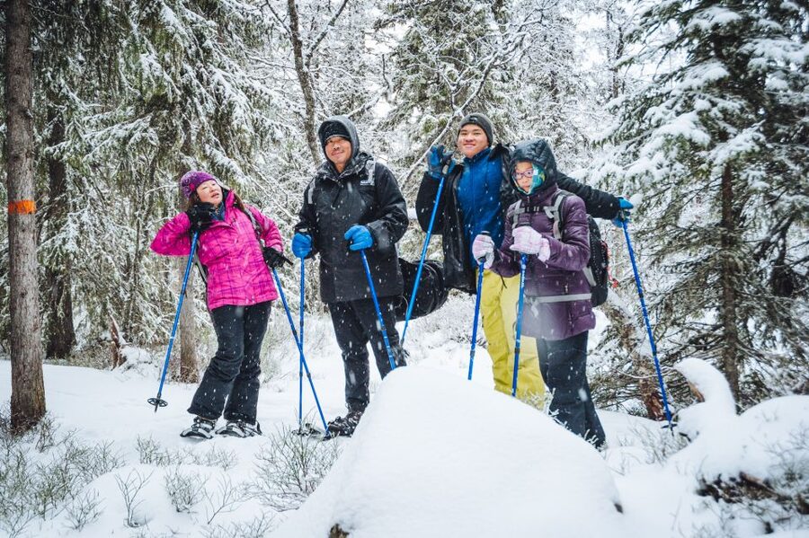 Stockholm: Winter Snowshoe Full-Day Hike - Forest Paths, Deer Tracks, and Swedish Wildlife