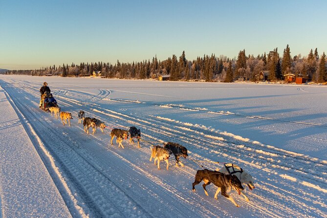 Sunrise Zen Husky Tour (10:00 to 13:00 - sitting on the sled) - A 10:00 start outside Kiruna