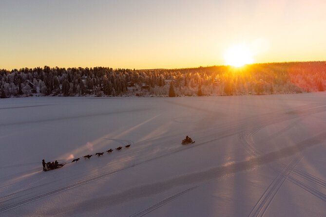 Sunrise Zen Husky Tour (10:00 to 13:00 - sitting on the sled) - Meeting the dogs before the sled moves