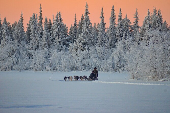 Sunrise Zen Husky Tour (10:00 to 13:00 - sitting on the sled) - Who will enjoy this husky tour most