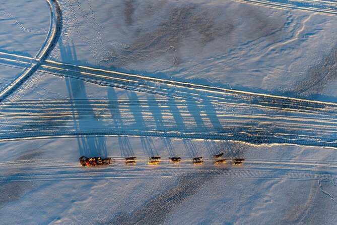 Sunrise Zen Husky Tour (10:00 to 13:00 - sitting on the sled) - Small details that make the morning easier
