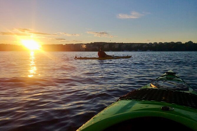 Sunset Kayak Tour in Central Stockholm and Swedish Fika - Seeing central Stockholm at water level
