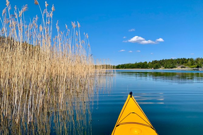 Sunset Kayak Tour in the Stockholm Archipelago + Swedish Fika - Fika on an island