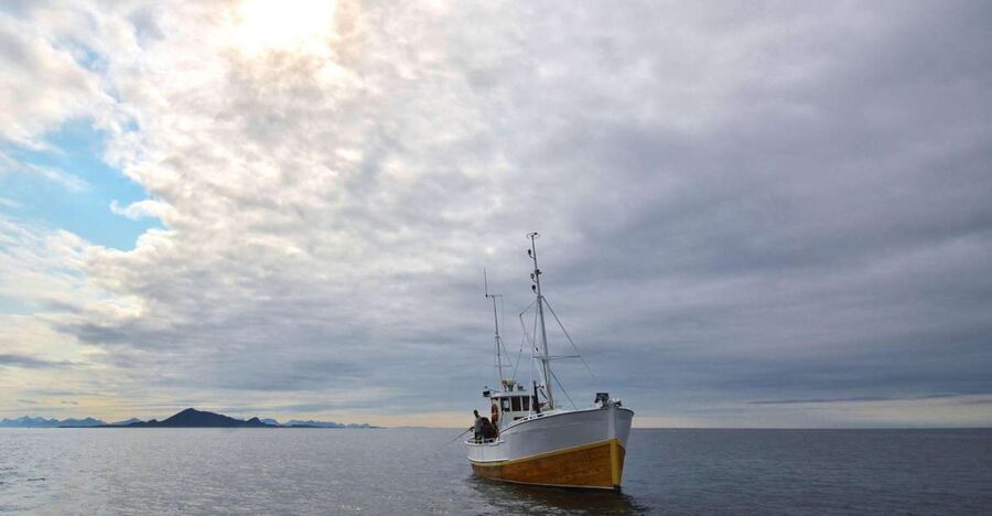Svolvær: Fishing Trip on the Lofoten Sea - Key points to know before you go