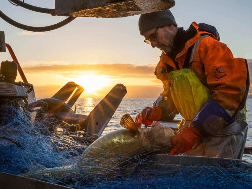 Svolvær: Fishing Trip on the Lofoten Sea - What three hours feels like onboard