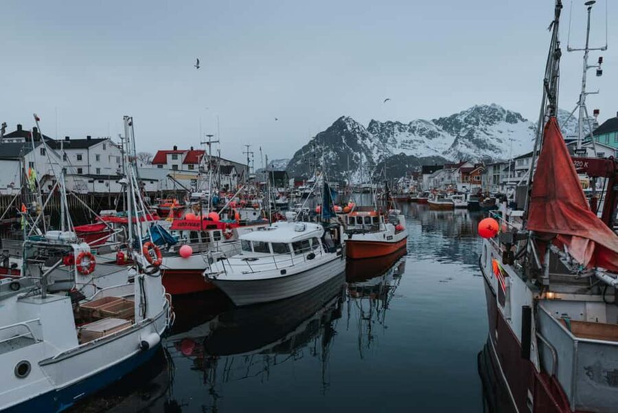Svolvær: Lofoten Scenic Sightseeing Tour: Half day tour - Gimsøya and the open Arctic view