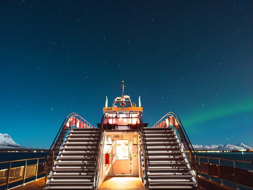 Svolvær: Northern Lights and Full Steam Cruise with Tasting - Who will enjoy this trip most