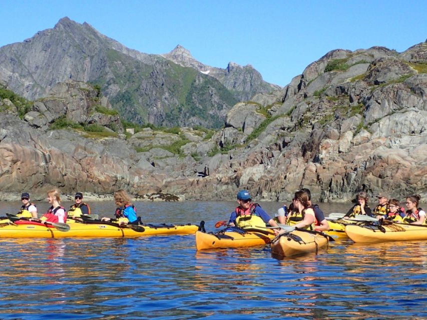 Svolvaer: Sea Kayaking Experience - The wildlife question: eagles, seals, and otters