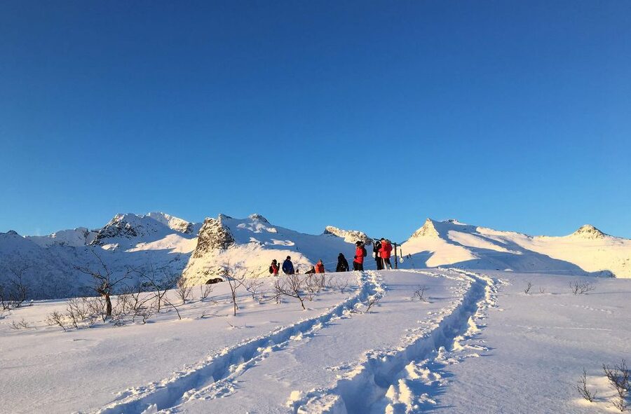 Svolvær: Snowshoe Nature Explorer - What the three-hour route can include