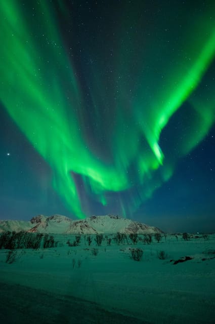 Svolvær: Ultimate Aurora Hunt - What you learn while waiting