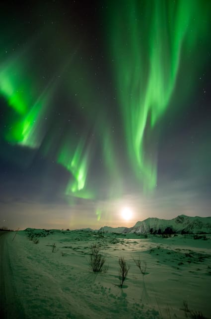 Svolvær: Ultimate Aurora Hunt - Photography help for beginners and serious camera users