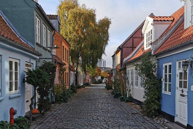 The Ancient Viking Stronghold of Aros: A Self-Guided Audio Tour in Aarhus - Aarhus Cathedral and the Viking Museum