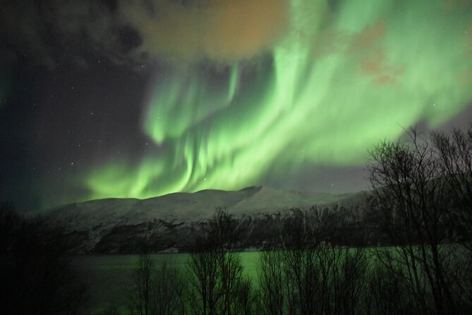 The Aurora Tour - small group, northern lights - Photography help and souvenir pictures