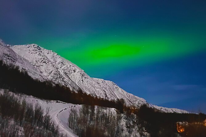 The Aurora Tour - small group, northern lights - Guide quality can make or break the night