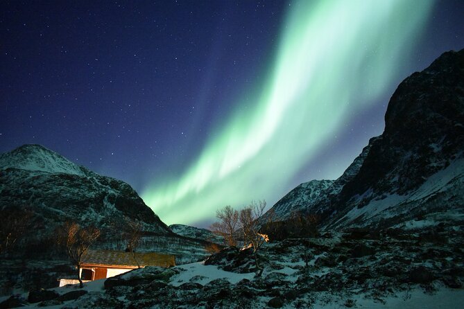The Aurora Tour - small group, northern lights - Is $233.58 a fair price?