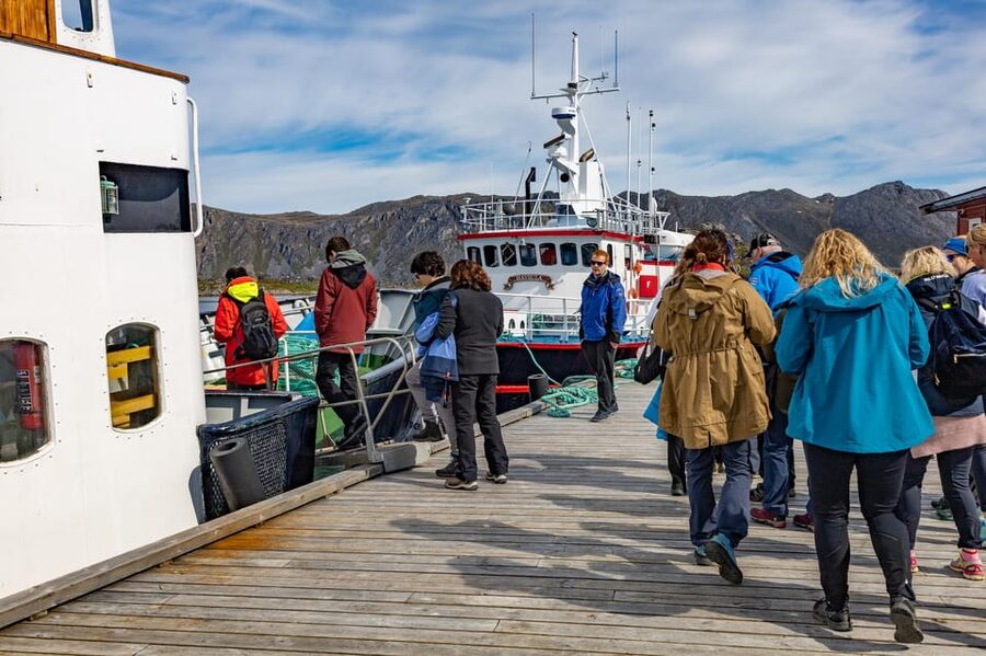 The Bird Safari Tour - Gjesværstappan is close, but the birds set the rules