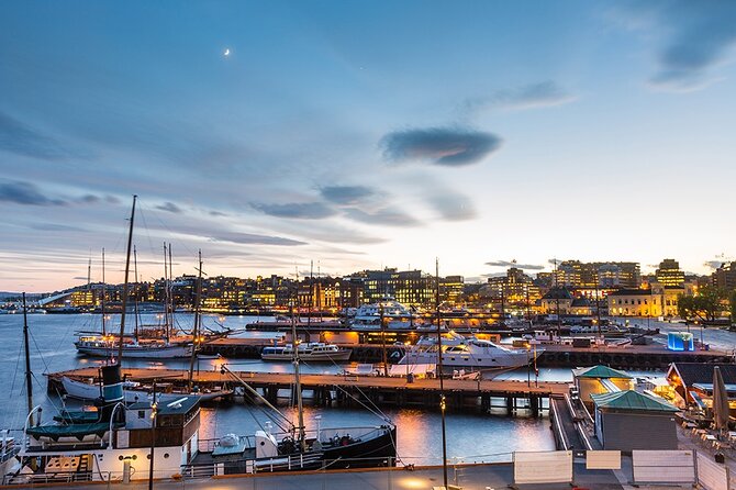 The Essential Oslo Private Walking Tour - Aker Brygge and Tjuvholmen by the water