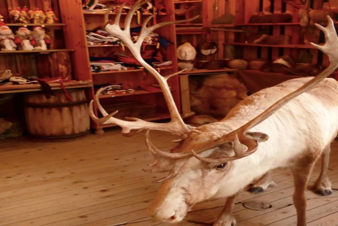 The North Cape, Reindeer and Sami Families Tour - Is $162.10 a fair price?
