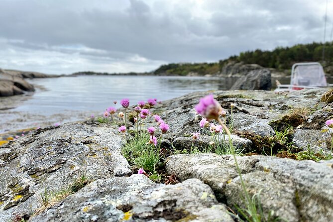 The Southern Norwegian Archipelago Experience - Leaving Ternevig by personal boat