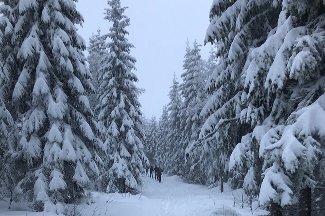 The Ultimate Norwegian Skiing Experience - Hot chocolate, Norwegian snacks, and a social finish