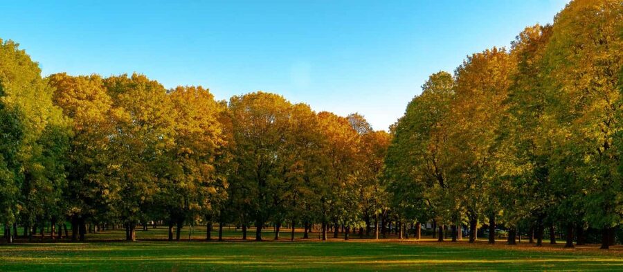 The Vigeland Park in Oslo: Insta-Perfect Walk with a Local - Who will enjoy this Oslo walk?