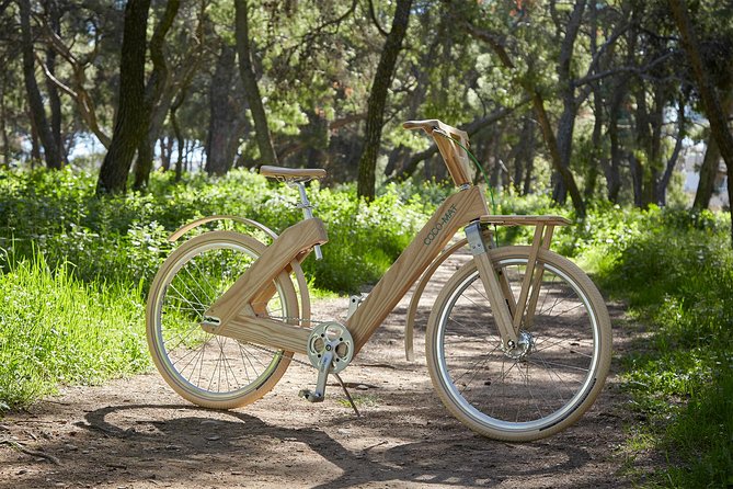 The Wooden Bicycle Tour in Stockholm - Starting near Rådhuset on Klara Västra kyrkogata