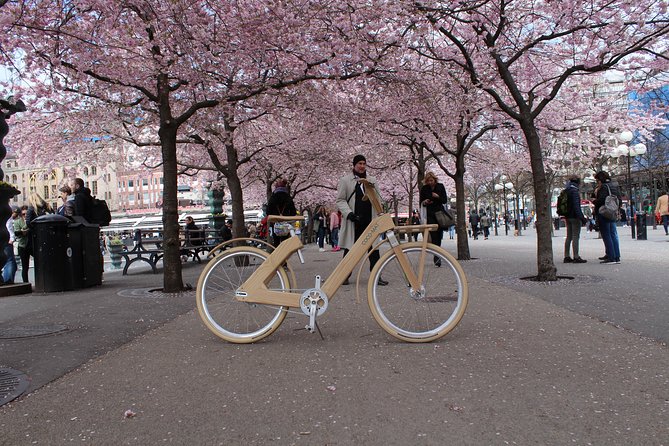 The Wooden Bicycle Tour in Stockholm - Who will enjoy this ride most