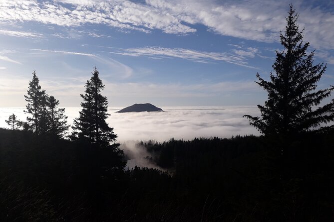 Three-summit hike in Bergen - What the guide adds to the walk