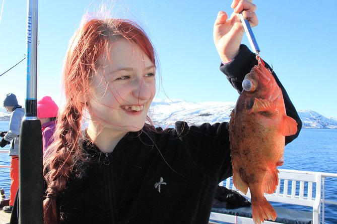 Tromsø: Arctic Fjord Cruise & Fishing Experience - Key points to know before booking