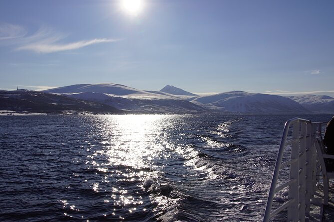 Tromsø: Arctic Fjord Cruise & Fishing Experience - Fishing for cod, haddock, and coal fish