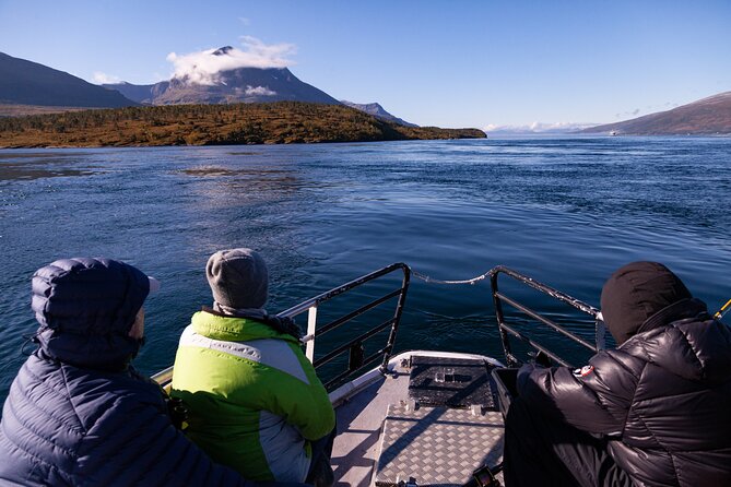 Tromsø: Arctic Fjord Cruise & Fishing Experience - Fish soup, bread, and hot drinks aboard