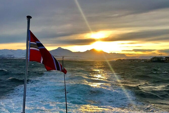Tromsø: Arctic Fjord Cruise & Fishing Experience - What the $156 price gives you