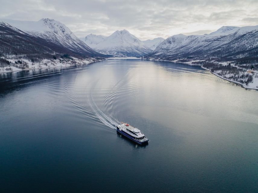Tromsø: Arctic Fjord Cruise in Polar Landscapes - Final Verdict: A Comfortable Arctic Introduction