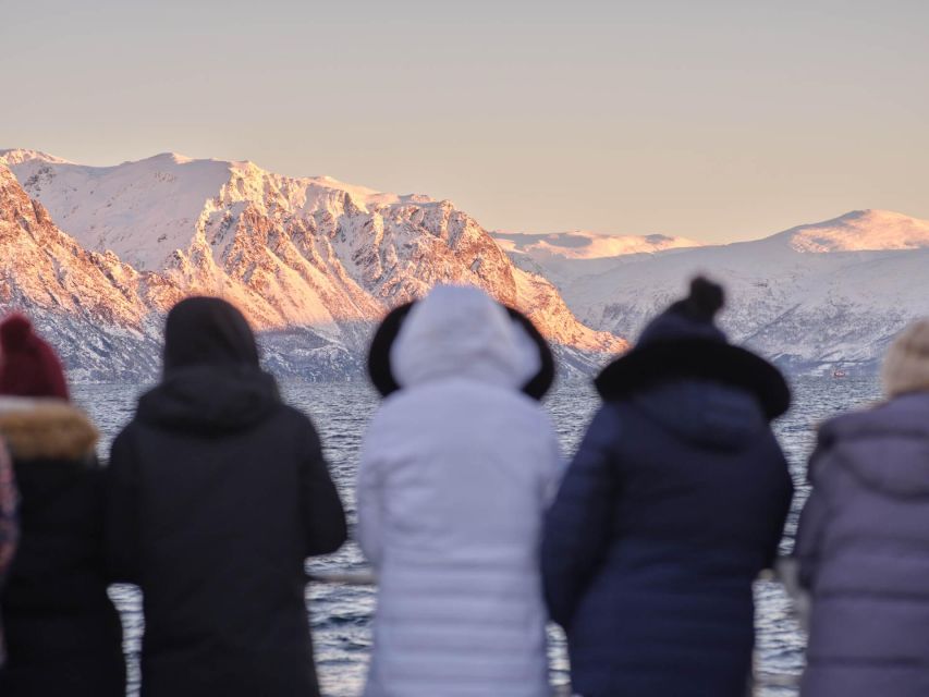 Tromsø: Arctic Fjord Cruise in Polar Landscapes - Is $120 a Fair Price?