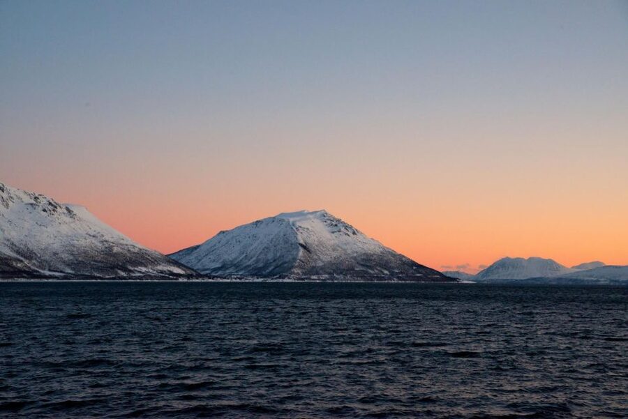 Tromsø: Arctic Fjord Cruise in Polar Landscapes - Wildlife Watching Along the Fjord Shores