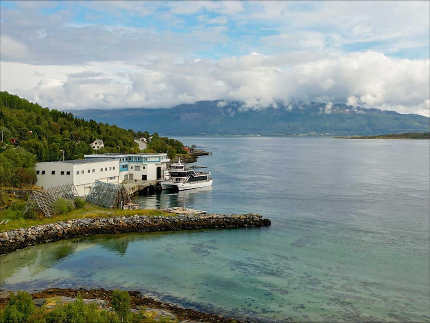 Tromsø: Arctic Fjord Cruise With Stop On Land At Fish Racks - Who will enjoy this cruise most?