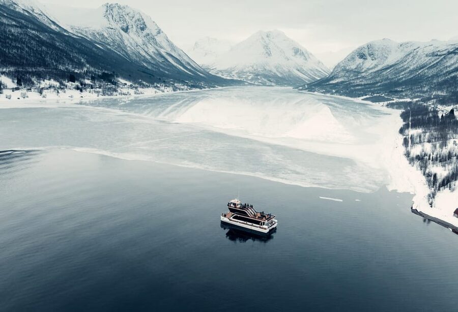 Tromsø: Arctic Fjord Cruise With Stop On Land At Fish Racks - Wildlife watching without false promises