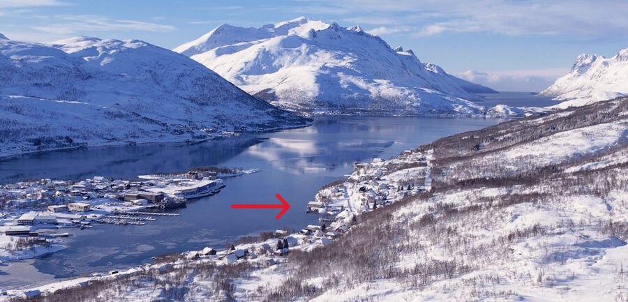 Tromsø: Arctic Fjord Floating in Survival Suit - The Northern Lights question