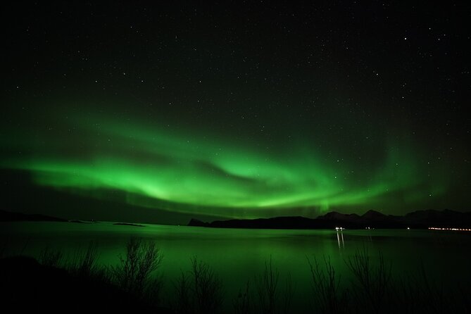 Tromso Aurora Chase by Minibus with Thermal Suit, Snack and Photo - Minibus comfort and group size
