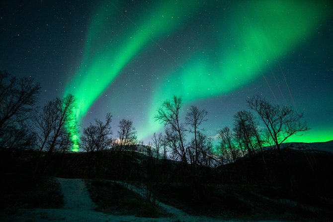 Tromso Aurora Chase by Minibus with Thermal Suit, Snack and Photo - What you receive in the photographs