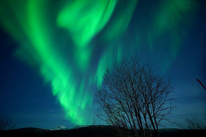 Tromso Aurora Chase by Minibus with Thermal Suit, Snack and Photo - What the changing route really means