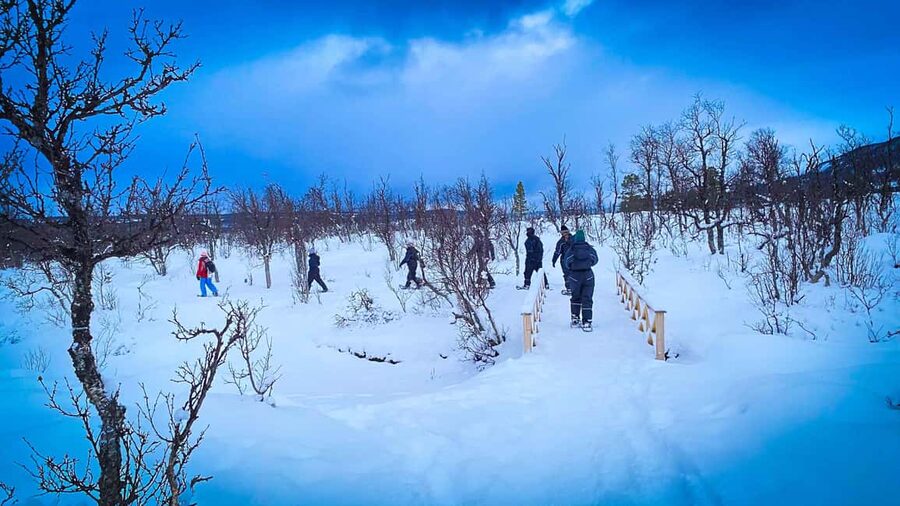 Tromsø: Aurora Crystal Lavvo Overnight Stay with Activities - Breakfast and the return to Tromsø