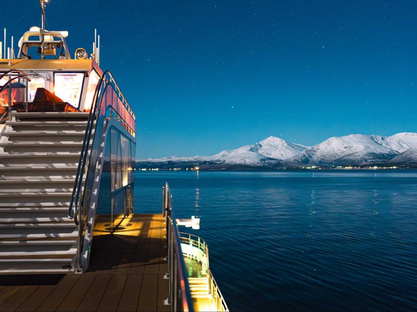 Tromsø: Aurora Dinner Cruise by Hybrid-Electric Catamaran - A dinner cruise with the Arctic sky overhead