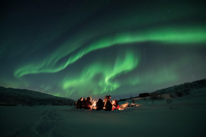 Tromso Aurora Hunt with Bonfire, Soup, Winter Gear & Transfers - Bonfire, soup, and the long Arctic wait