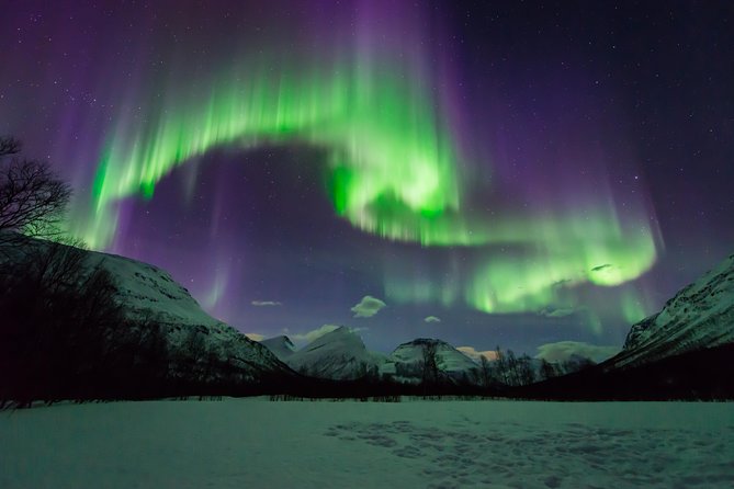 Tromso Aurora Hunt with Bonfire, Soup, Winter Gear & Transfers - Thermal suits help, but you still need proper clothing