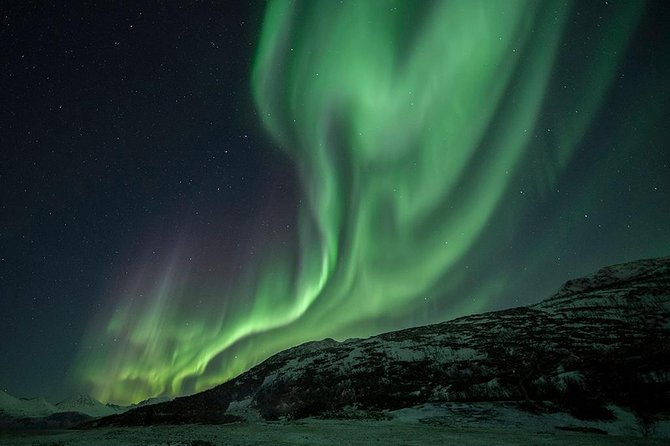 Tromso Aurora Hunt with Bonfire, Soup, Winter Gear & Transfers - The strongest part is the guide effort