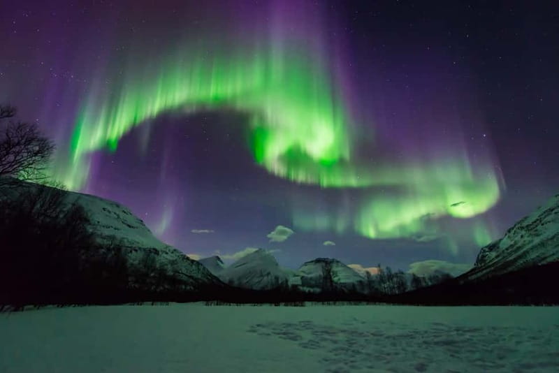 Tromsø: Aurora Hunt with Citizen Science - An eight-hour search beyond Tromsø’s city lights