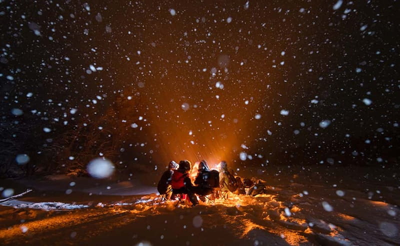 Tromsø: Aurora Hunt with Citizen Science - What each part of the itinerary feels like