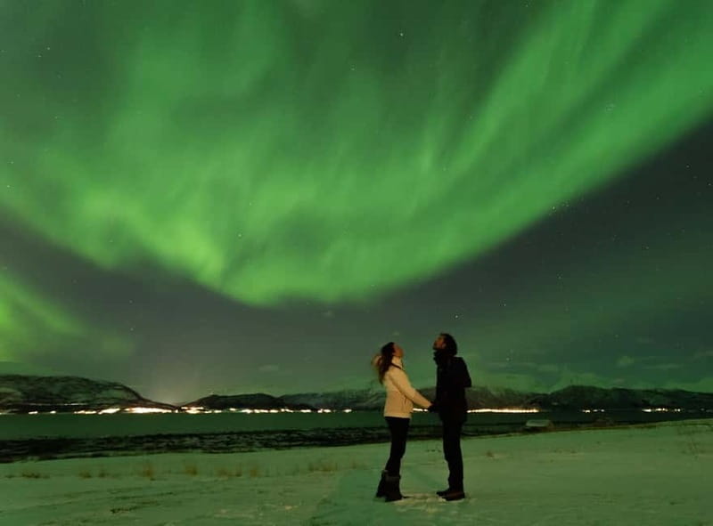 Tromsø: Aurora Safari Chase by big bus with Camp meal - Key points to know before you book