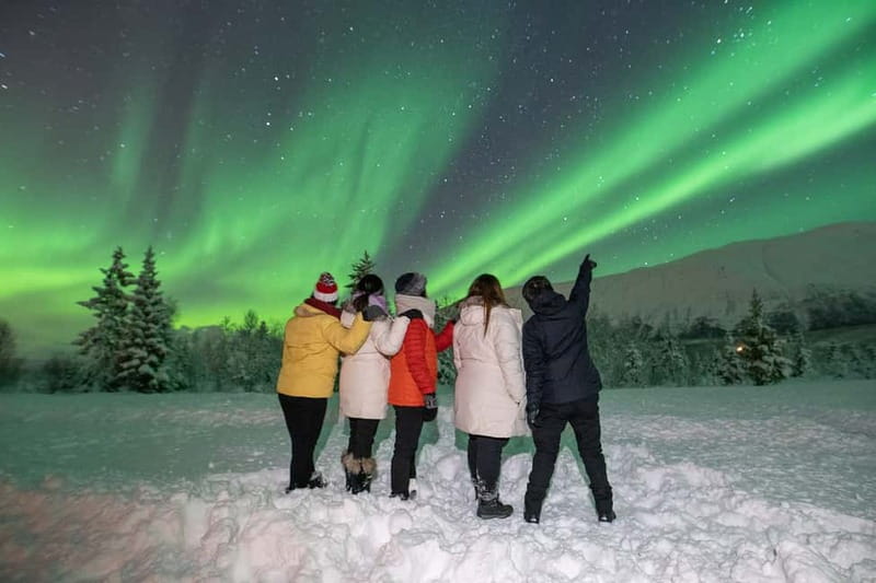 Tromsø: Aurora Safari Chase by big bus with Camp meal - Why this Tromsø aurora tour works well